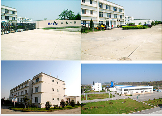 20000U Alfa-amilase branca em pó Cas 9000 90 2 Para pré-mistura - Alfa-amilase estável ao calor 10