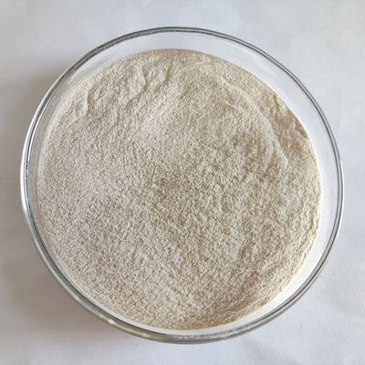 Aditivos enzimáticos para ração Lipase Pó Branco 50.000-200.000 Melhoram a Produção Animal