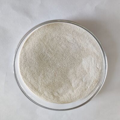 Fornecimento de Fábrica Pó Líquido de Alfa Amilase Termoestável Grau Alimentício
