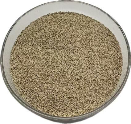 Enzima Lipase para Ração Animal para Melhor Digestibilidade de Gordura e Utilização de Energia | LIPOZIMA