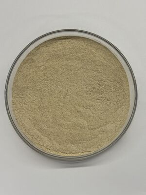 BP100 Enzima protease em pó para alimentação animal para melhorar a digestibilidade das proteínas e a saúde intestinal