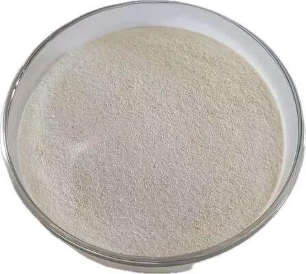 Queratinase de Ração Animal para Utilização Alternativa de Proteínas e Redução de Custos de Alimentação | Habio Queratinase