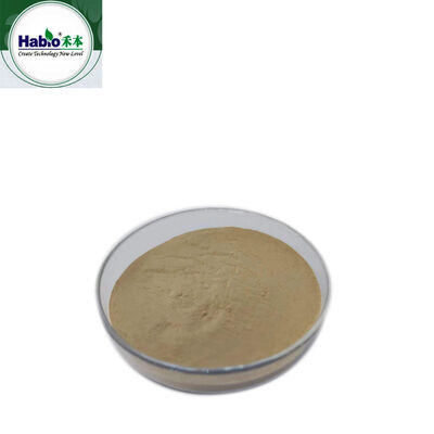 Protease Enzyme Powder & Granula