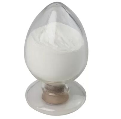 Enzima Xilanase Alimentar para Melhor Digestibilidade de Nutrientes e Eficiência Alimentar | Habio Xilanase