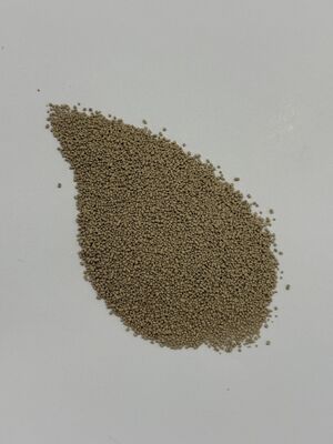 BP100 Granulado de Protease Enzimática para Melhoria da Digestibilidade de Proteínas Aditivo para Ração Animal