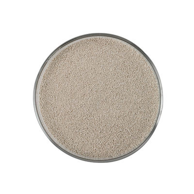 Xylanase combinatório Straw Yellow Granule Cas 37278-89-0 para o Premix