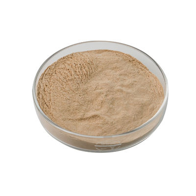 a enzima alcalina do Protease 100000U pulveriza Brown amarelo para a fabricação de cerveja do álcool