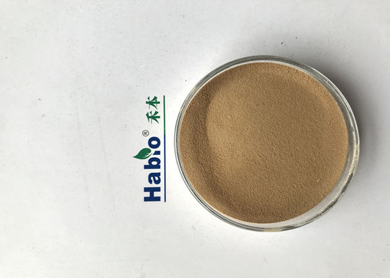 Amílase fungosa do Temp ISO22000 meados de amplamente utilizada para Monosodium