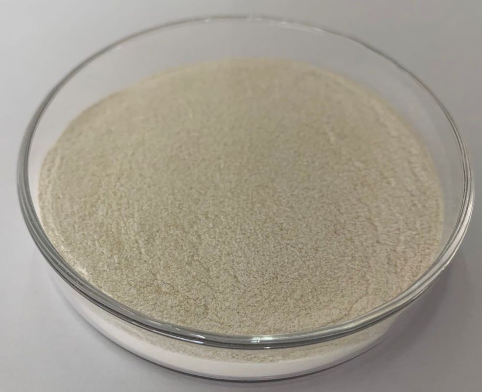 Protease 5000u/G-400000u/G Grânulo em Pó Grau Alimentar Gado e Aves Geral Ácido/Neutro/Alcalino Protease