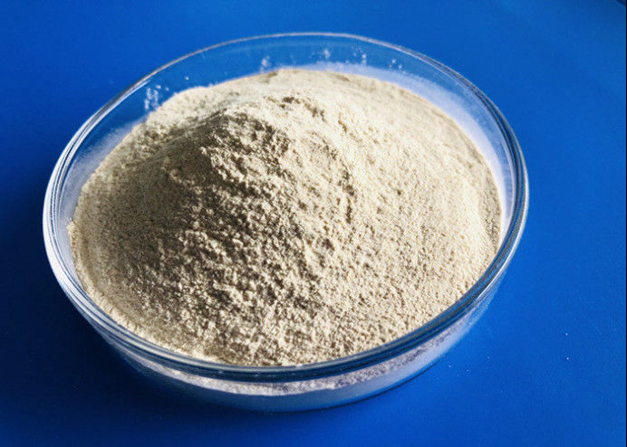 Cas 9025 57 enzima digestiva 80 Mesh Protease In Food Industry de 4 Protease