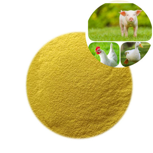 Nutrição de Aves GOD Glucose Oxidase Enzima em Pó Aditivos para Rações
