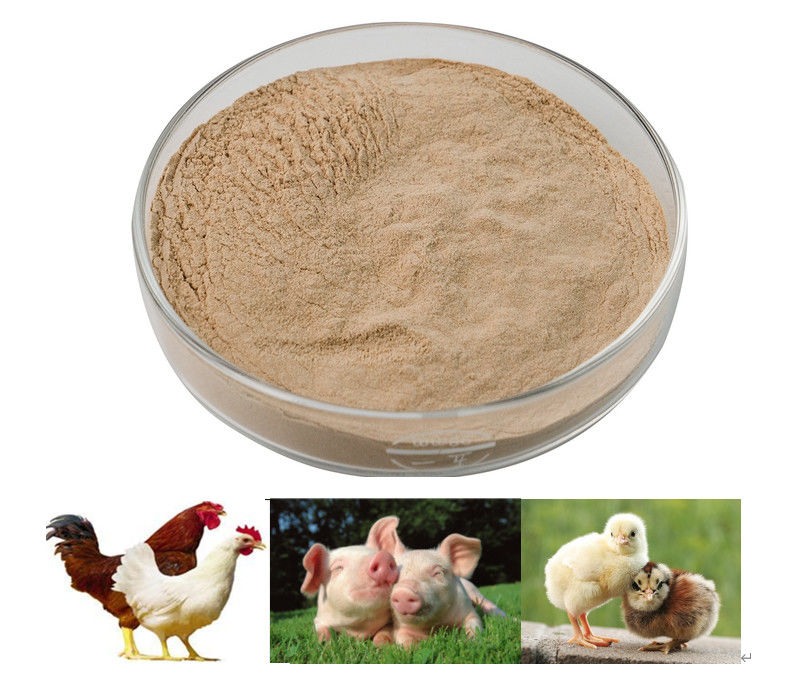 rebanhos animais e aves domésticas da enzima do Protease da categoria da alimentação do grânulo do pó 5000u/G-400000u/G