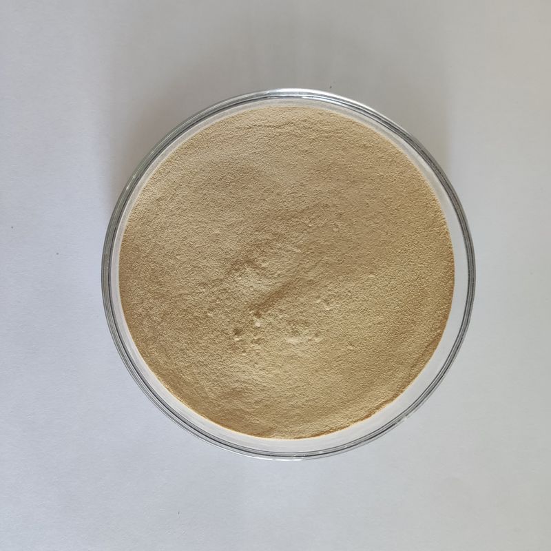 Habio Protease BP100 100.000 U/g Pó/Grânulo Protease para Alimentação Intestinal Inteira