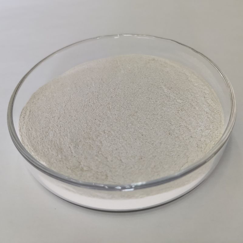 Alta estabilidade 100000U Enzima protease alcalina em pó Amarelo Marrom Para a fabricação de álcool