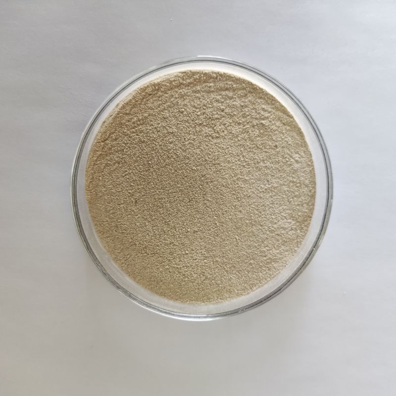 Habio Protease Bp100 Enzima de divisão de peptídeos de qualidade alimentar com elevada estabilidade