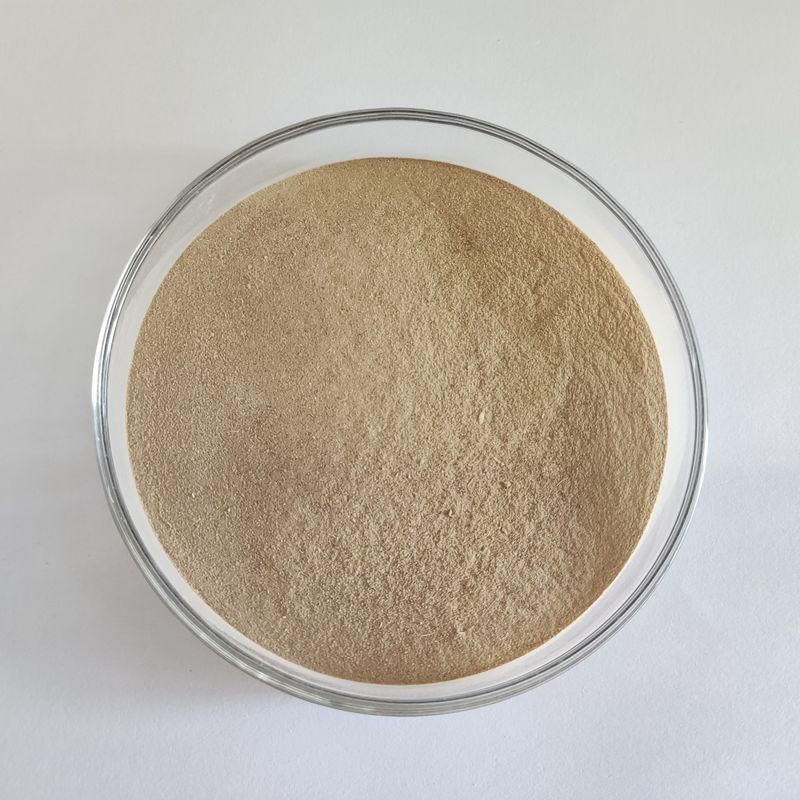 Enzima Proteolítica Neutral Habio Neutral Protease em Pó Enzima Proteolítica Neutral de Alta Eficiência 100.000U/G