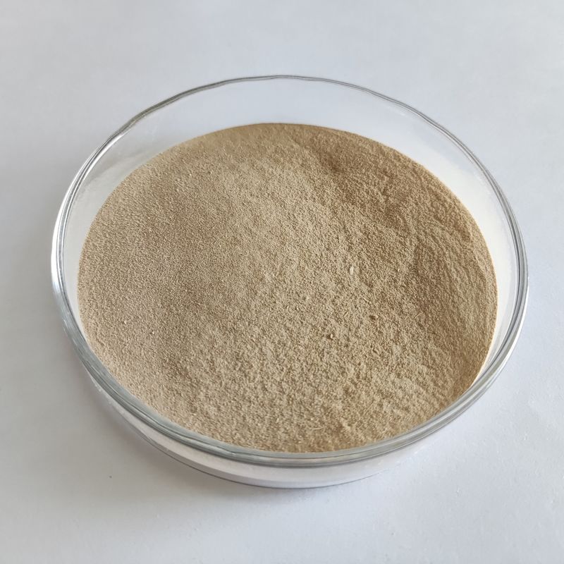 Enzima Proteolítica Neutral Habio Neutral Protease em Pó Enzima Proteolítica Neutral de Alta Eficiência 100.000U/G