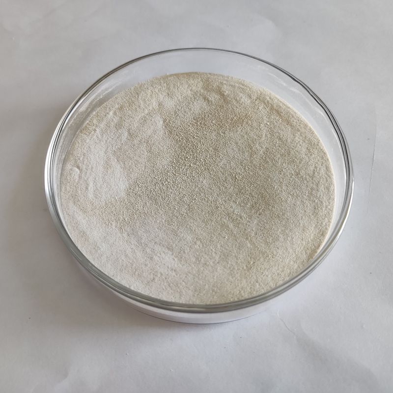 Enzima Lipase em pó 50.000-200.000 Fermentação microbiana Enzima Lipase