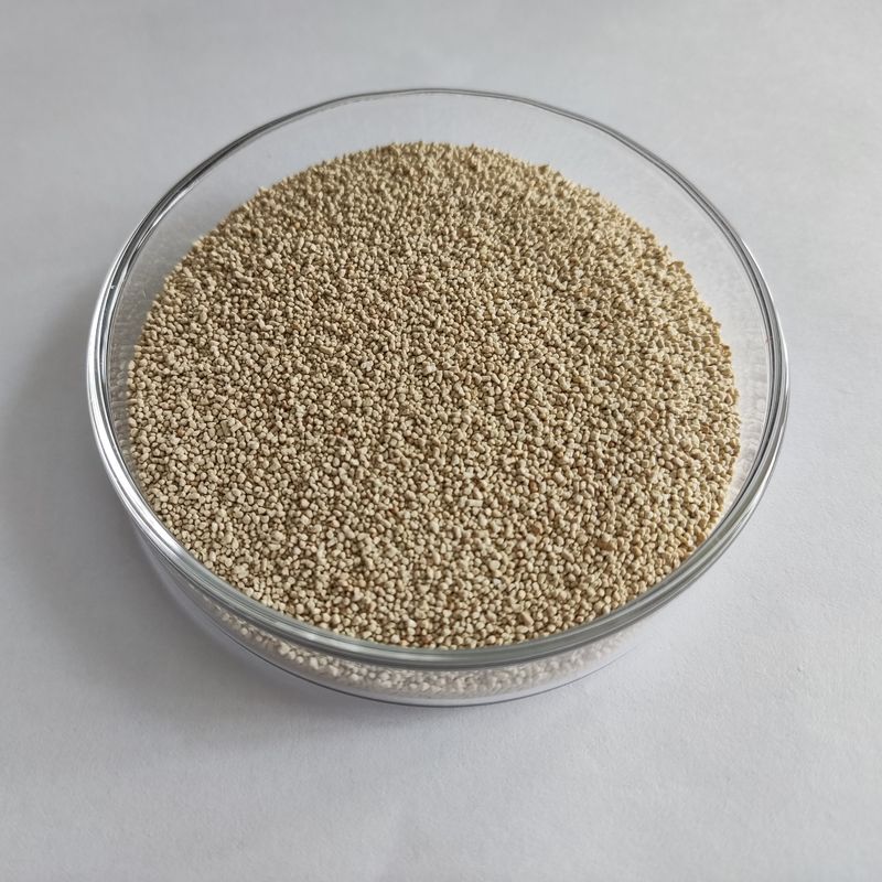 A nutrição da lipase enzimática habio melhora a absorção e a utilização do biodiesel