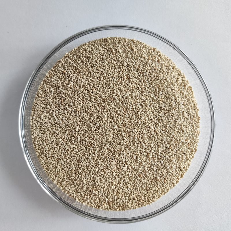 A nutrição da lipase enzimática habio melhora a absorção e a utilização do biodiesel