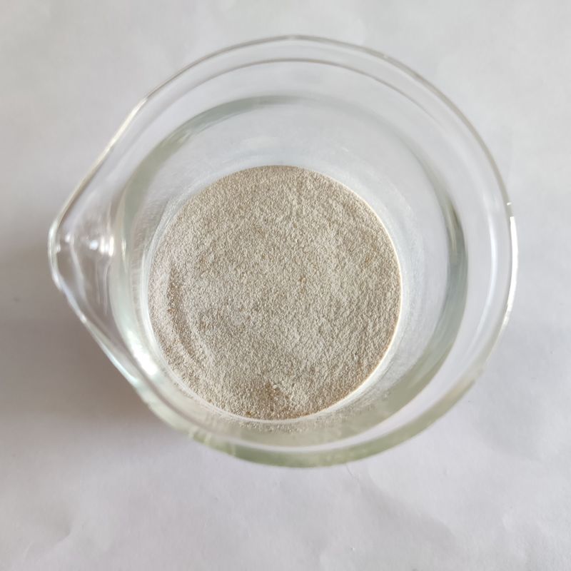Enzima de lipase em pó de alta estabilidade 50.000-200.000 Enzima de lipase em branco ideal para várias aplicações