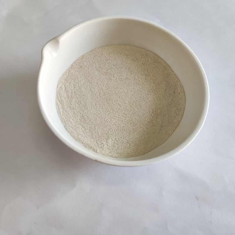 Enzima de lipase em pó de alta estabilidade 50.000-200.000 Enzima de lipase em branco ideal para várias aplicações