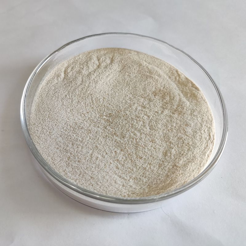 Enzima Lipase em pó 50.000-200.000 Fermentação microbiana Enzima Lipase
