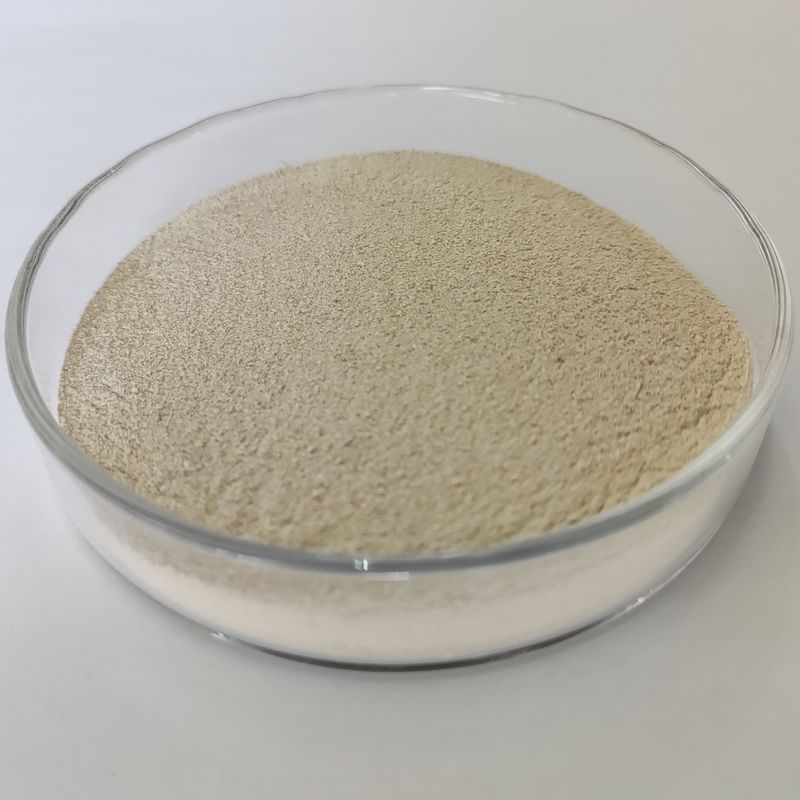 Enzima proteolítica de ácido habio protease de alta eficiência 100.000 U/g Enzima digestiva em pó