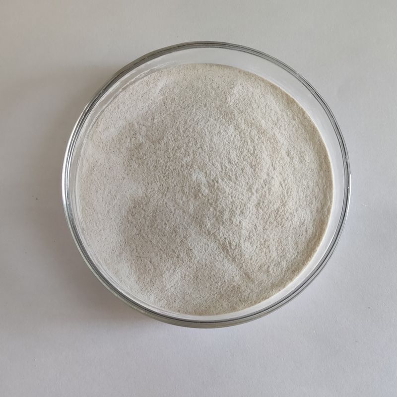 Habio Alpha Galactosidase 50.000 U/G Pó solúvel em água Aditivos de qualidade alimentar