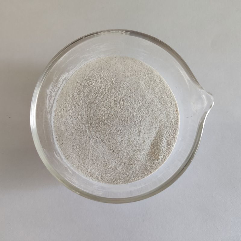 Habio Alpha Galactosidase 50.000 U/G Pó solúvel em água Aditivos de qualidade alimentar