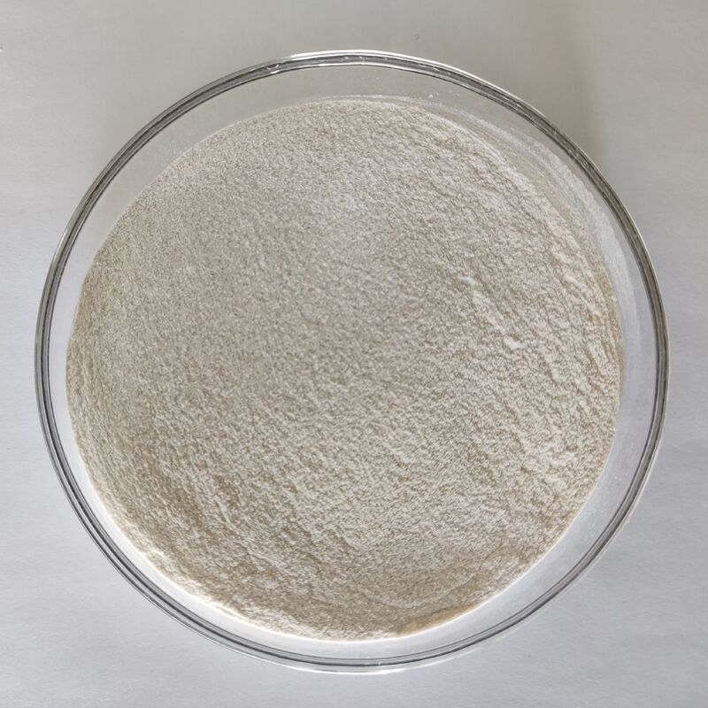 Pó de Enzima Protease Alcalina de Grau Alimentício 1.000.000 U/g com Alta Eficiência de Degradação de Proteínas e Propriedades Enzimáticas Estáveis