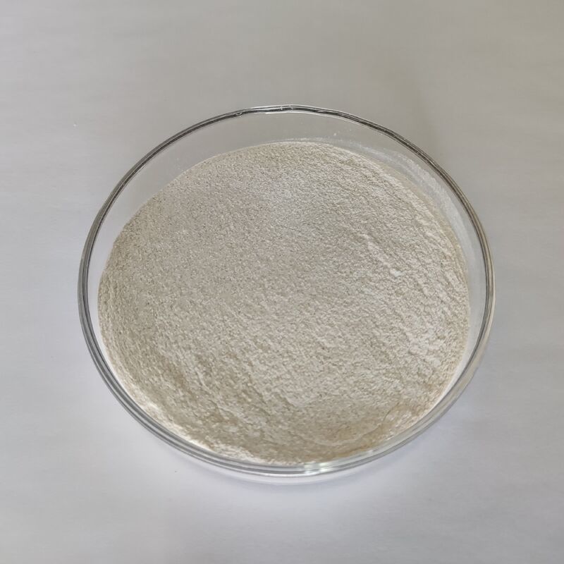 Pó de Enzima Protease Alcalina de Grau Alimentício 1.000.000 U/g com Alta Eficiência de Degradação de Proteínas e Propriedades Enzimáticas Estáveis