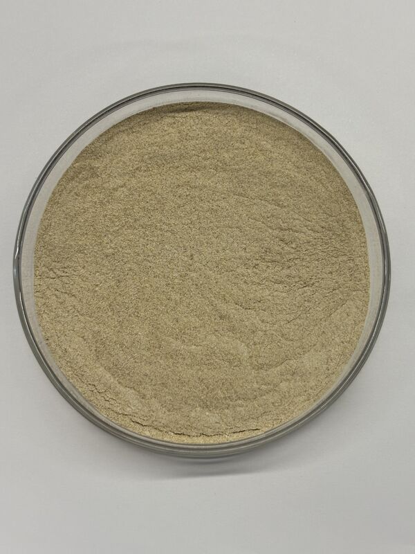 Enzima de protease BP100 de alimentação de alta estabilidade para melhorar a utilização das proteínas e a digestibilidade dos aminoácidos (100 000 U/g)