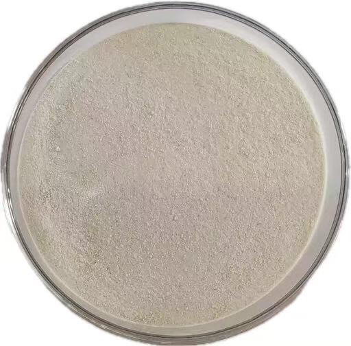 Queratinase de Ração Animal para Utilização Alternativa de Proteínas e Redução de Custos de Alimentação | Habio Queratinase