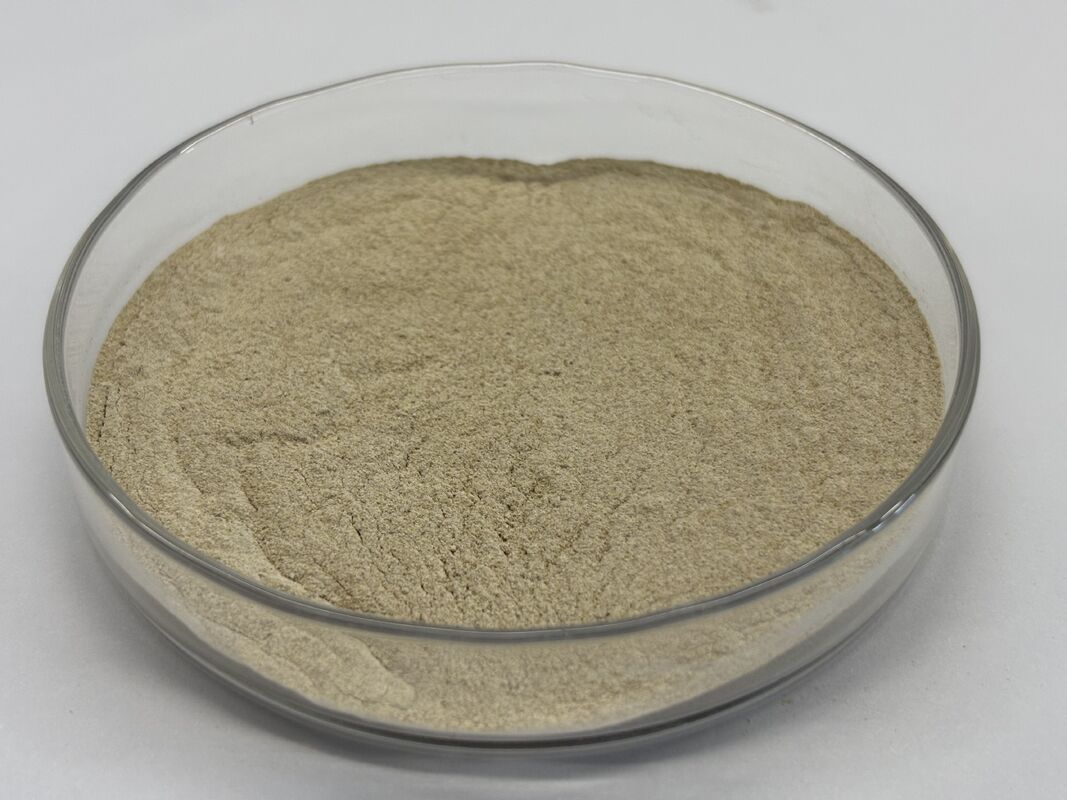 Enzima protease alcalina de qualidade alimentar 1.000.000 U/g para melhor digestibilidade de proteínas e eficiência alimentar