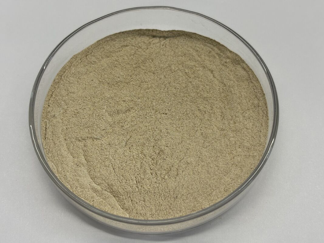 Protease de ração avançada para melhor utilização de proteínas e custo reduzido de ração CAS No. 9014-01-1