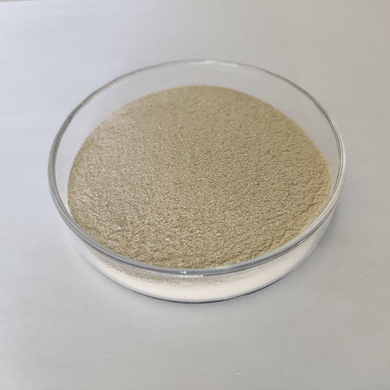 Habio Acid Protease Powder 300.000U/g Enzima proteolítica ácida de alta eficiência