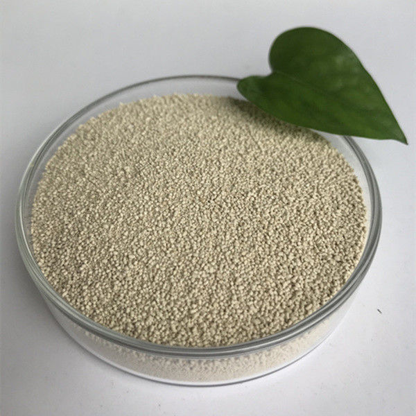 A nutrição da lipase enzimática habio melhora a absorção e a utilização do biodiesel