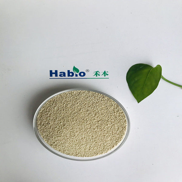 A nutrição da lipase enzimática habio melhora a absorção e a utilização do biodiesel
