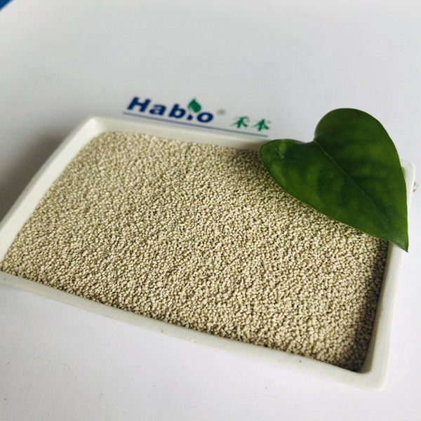 Granula de Habio Lipase Grade de enzima de alimentação animal 20,000u Animais Efeito sinérgico na lipase endógena
