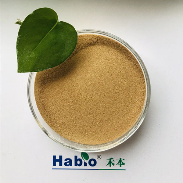 Atividade alta alcalina do Protease 25kg/Bag de Habio para a indústria de couro