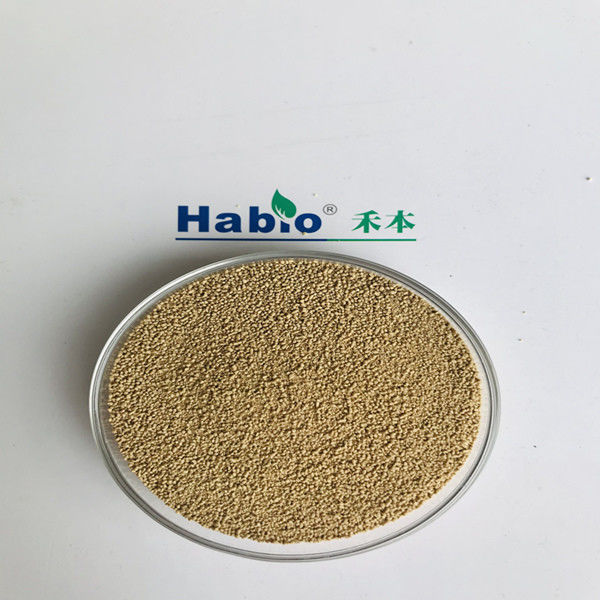 Grânulo do pó da enzima do NSP Habio usado na alimentação 25kg/Bag das aves domésticas