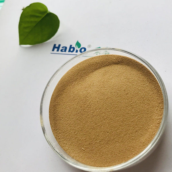categoria Alpha Amylase Powder With Thermostable ISO9001 da alimentação 10000U