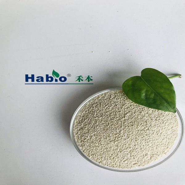 Xilanase Enzima xilan-hidrolizante com actividade 10 000U/g-400 000U/g Taxa de utilização de nutrientes que melhoram a digestão