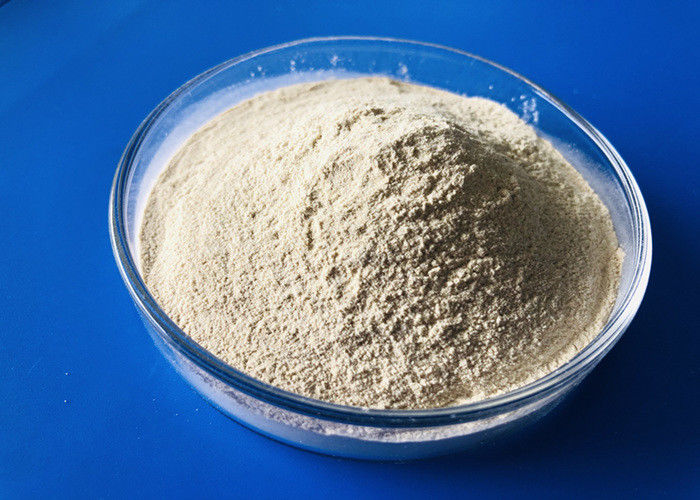 Cas 9025 Proteolysis eficaz de 57 4 80 Mesh Protease Enzyme For Highly