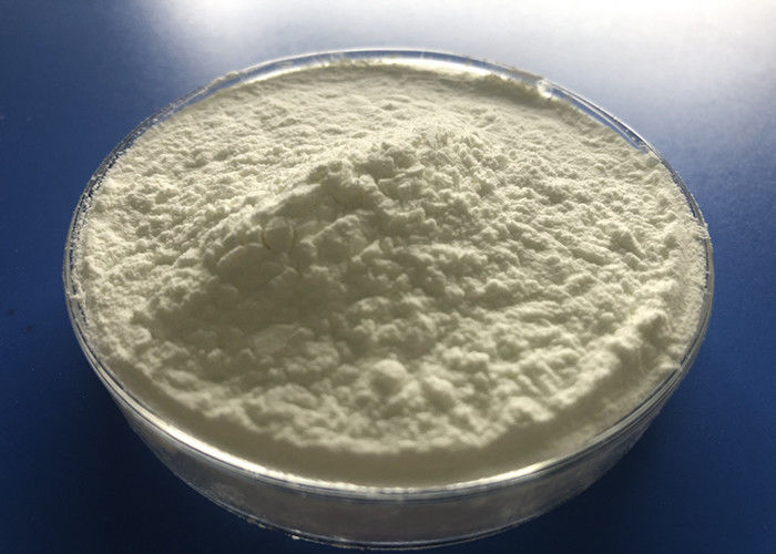 enzima do Protease 10000U