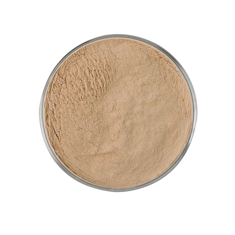 Uma protease protease (BP 100) especialmente concebida com excelente solubilidade para requisitos industriais