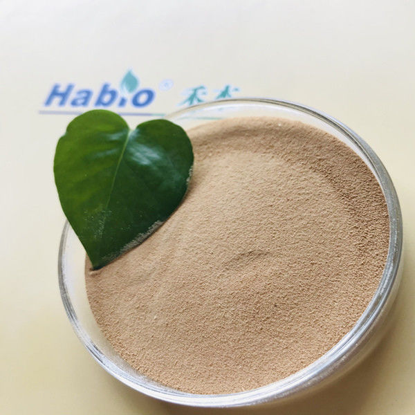 Preparações de enzimas de celulase 80 de malha para melhor absorção nutricional