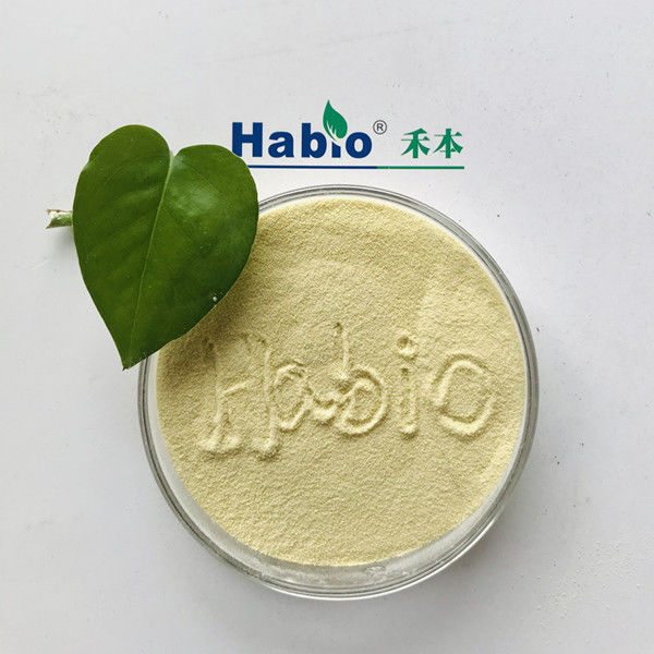 Melhorar a proteína hidrólise queratinase Enzima de alta pureza Branco Na Indústria de Couro