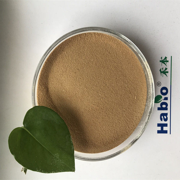 Melhorar a proteína hidrólise queratinase Enzima de alta pureza Branco Na Indústria de Couro
